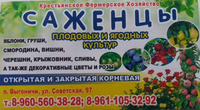 Плодово-ягодные насаждения