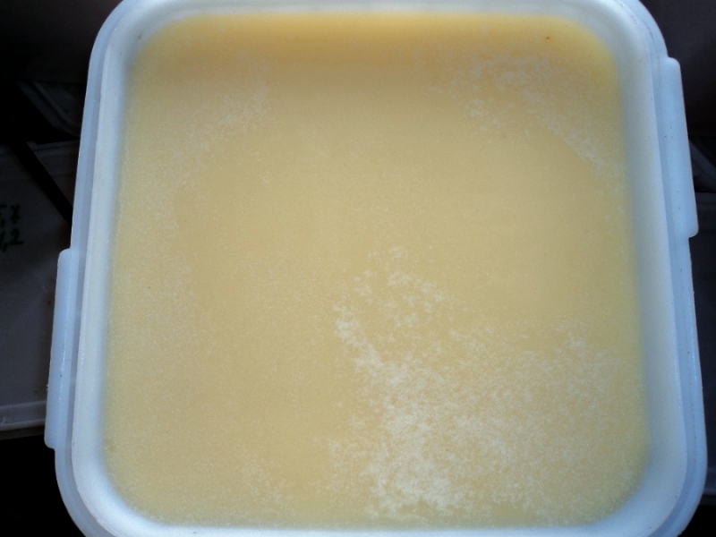 Продаю мд с личной пасеки.