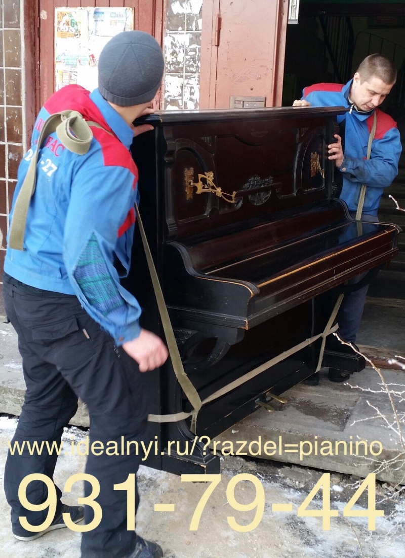 ВЫСОКОКВАЛИФИЦИРОВАННЫЕ ГРУЗЧИКИ. СПБ 931-79-44
