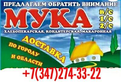 Мука пшеничная оптом