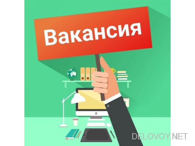 Администратор в ИП