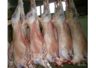 Продам мясо в тушах оленина