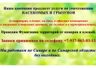 Уничтожение таркановкомаровгрызунов