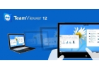 TeamViewer 12 Corporate в аренду.
