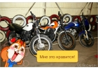 Категория А,А1