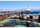Яркий отдых на Красном море - Эйлат