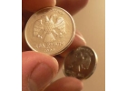 Два орла