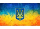 Политическая партия ищет инвестора