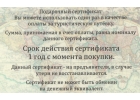 Подарочный Сертификат на путешествие