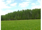 Продается Участок, 35 сот. Московская область, Истра городской округ, Огниково-1