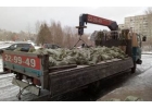 Грузоперевозки с открытым верхом до 5 тонн