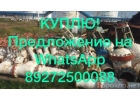 Куплю задвижки, шаровые краны, затворы Samson. Волгоград.